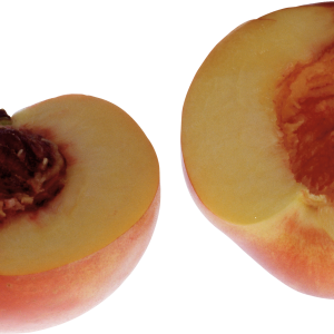 Peach PNG image