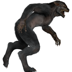 Werewolf PNG