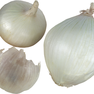 Onion PNG