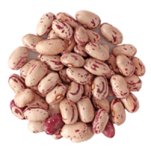 Kidney beans PNG