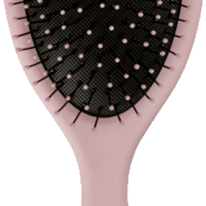 Hairbrush PNG