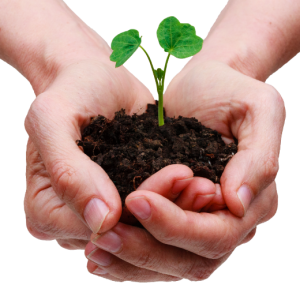 Soil in hands PNG