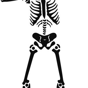 Skeleton siluet PNG image