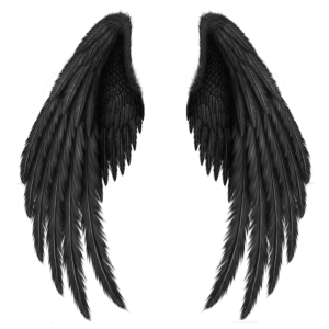 Black wings PNG