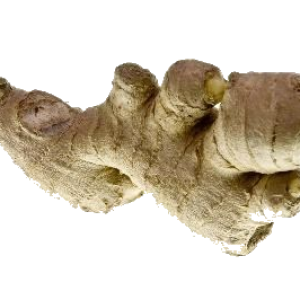 Ginger PNG