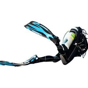 Diver PNG
