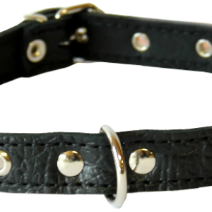 Dog collar PNG