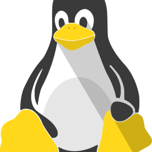 Linux logo PNG