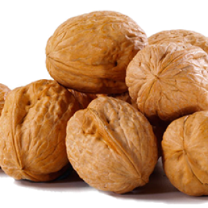 Walnut PNG
