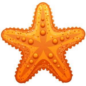 Starfish PNG