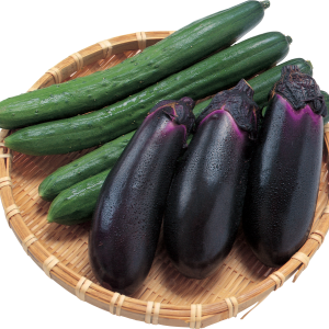 Eggplants PNG