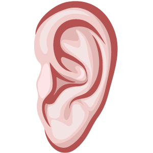Ear PNG image