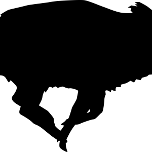 Boar PNG