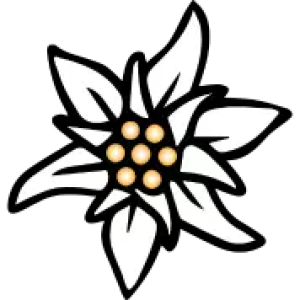 Edelweiss PNG
