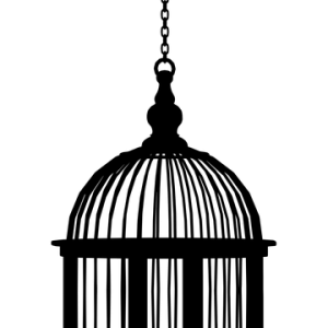 Cage bird PNG