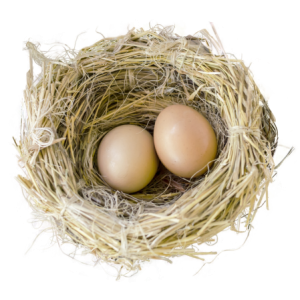 Nest PNG