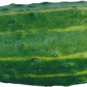 Cucumber PNG