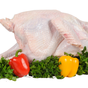 Turkey food PNG