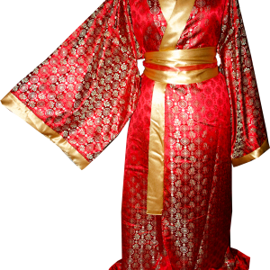 Kimono PNG