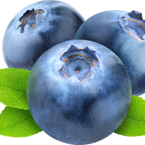 Blueberries PNG