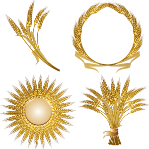 Wheat PNG