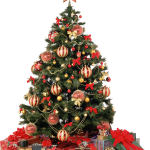 Christmas tree PNG