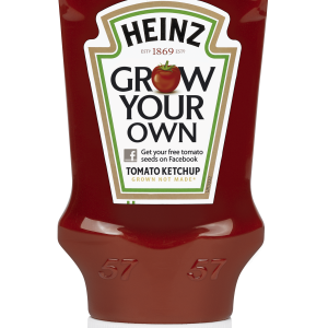 Ketchup PNG