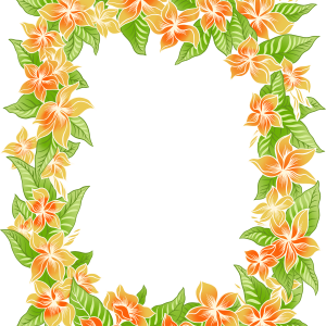 Floral frame PNG