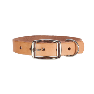 Dog collar PNG
