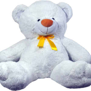 Teddy bear PNG
