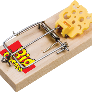 Mouse trap PNG