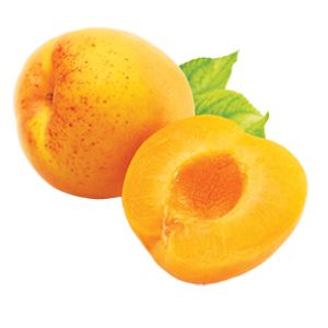 Apricot PNG