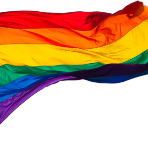 LGBT flag PNG