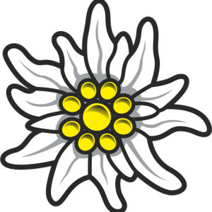 Edelweiss PNG