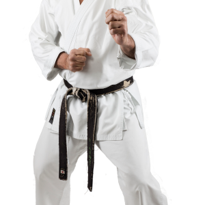 Karate PNG