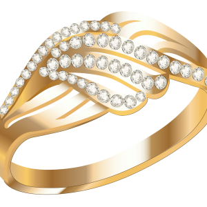 Jewelry ring PNG