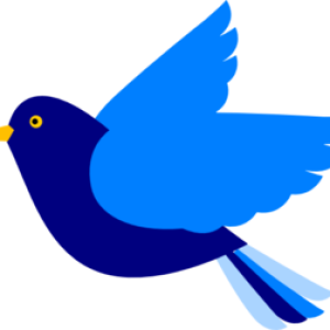 Bird PNG