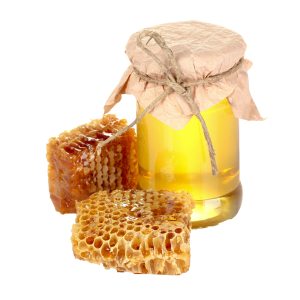 Honey PNG