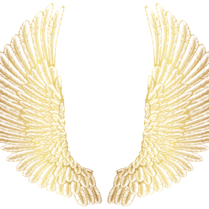 Wings PNG