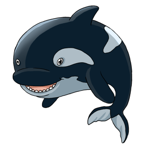Killer whale PNG