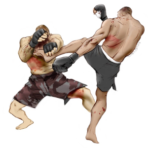Mixed martial arts PNG, MMA PNG