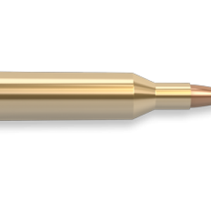 Bullets PNG image
