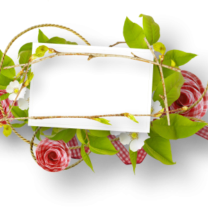 Floral frame PNG