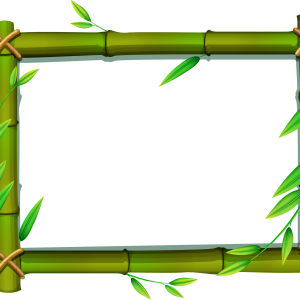 Bamboo PNG