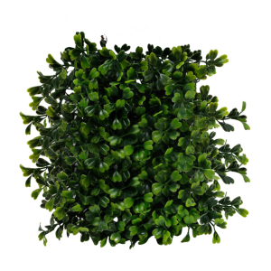 Bush PNG image