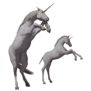 Unicorn PNG
