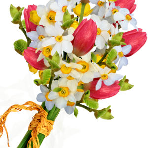 Bouquet flowers PNG