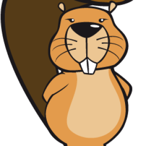 Beaver PNG