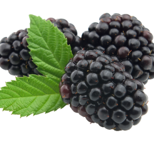 Blackberry PNG
