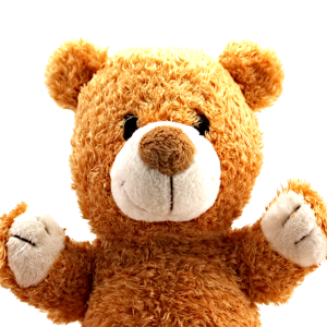 Teddy bear PNG